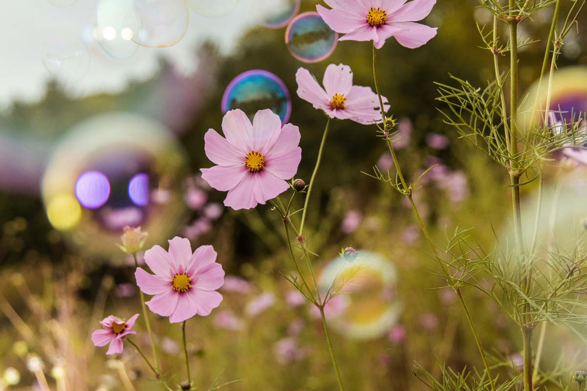 April Showers Bring Lots of Gifts for Spring