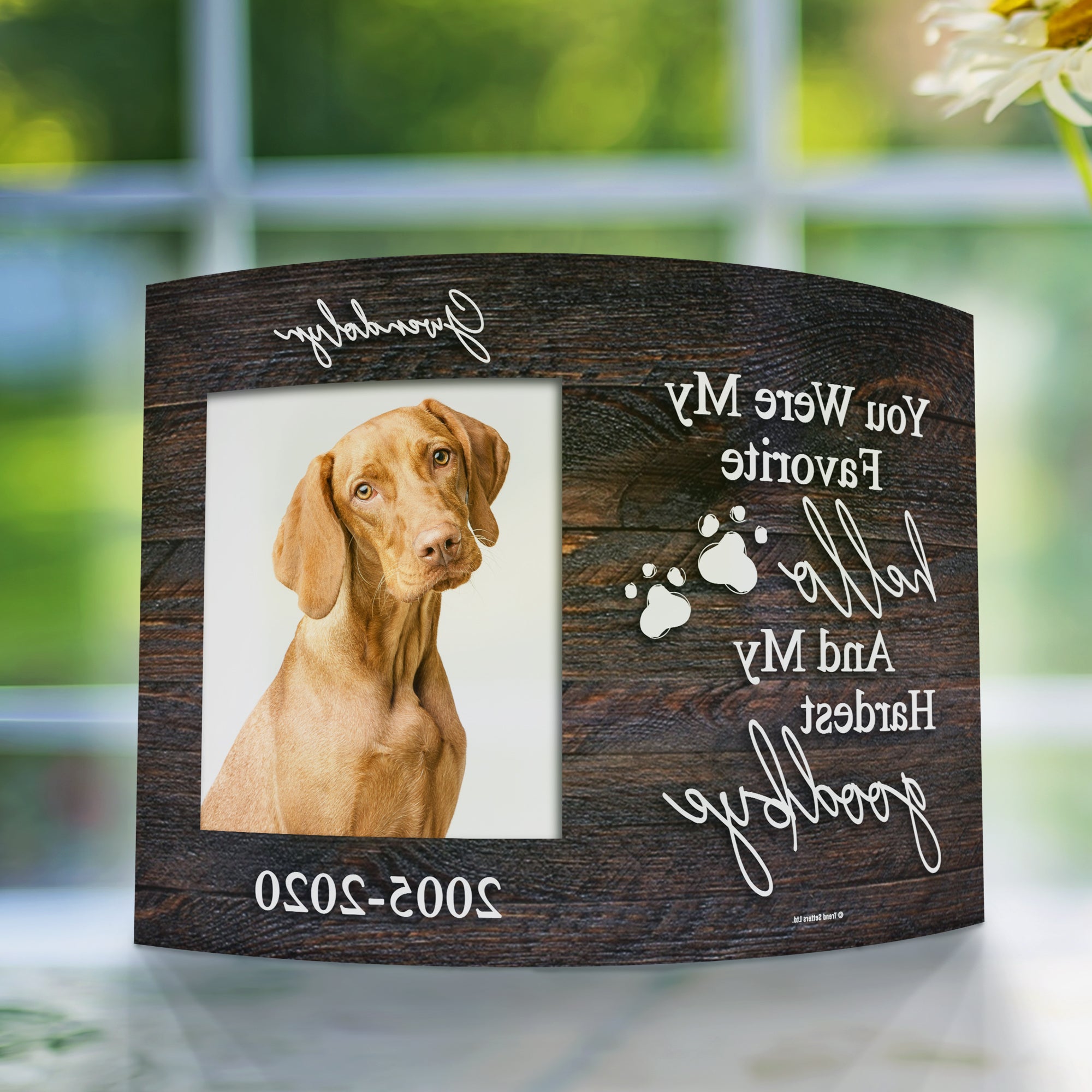 Pet Collection (Pet Memorial- Personalized)  10" x 7" Curved Acrylic Print