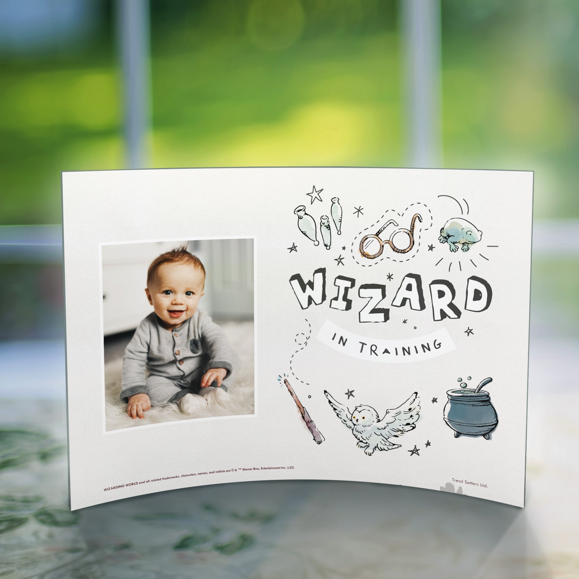 Harry Potter (Wizard in Training - Personalized)  10" x 7" Curved Acrylic Print