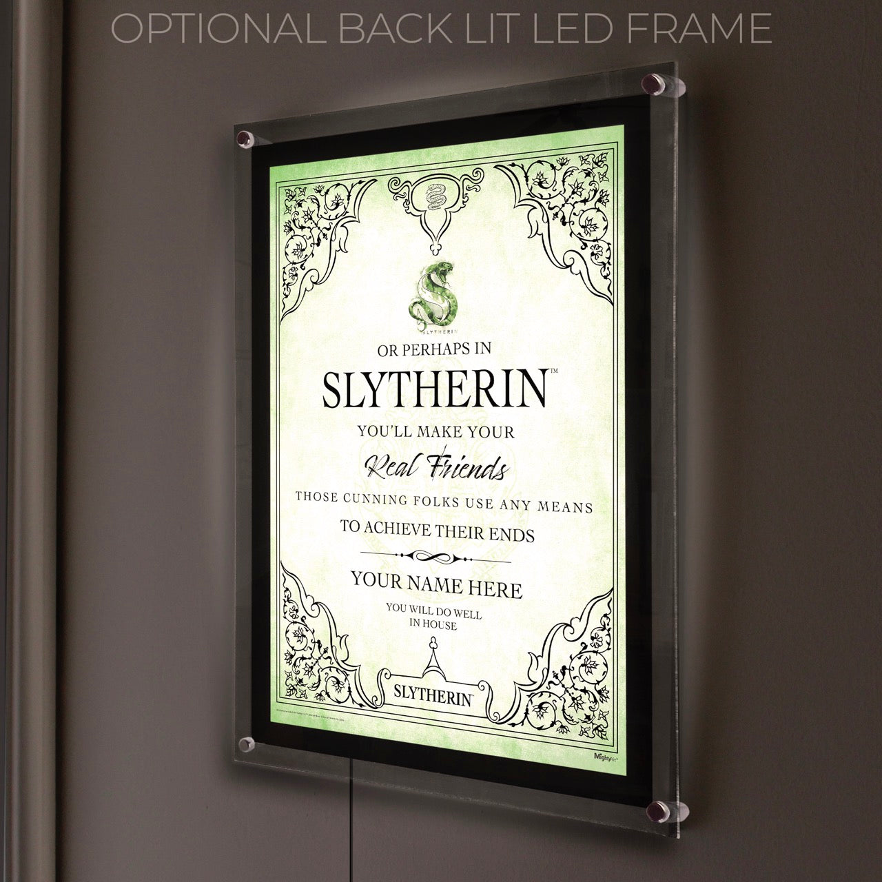 Harry Potter (Slytherin Assigned - Personalized) MightyPrint™ Wall Art MP17240978