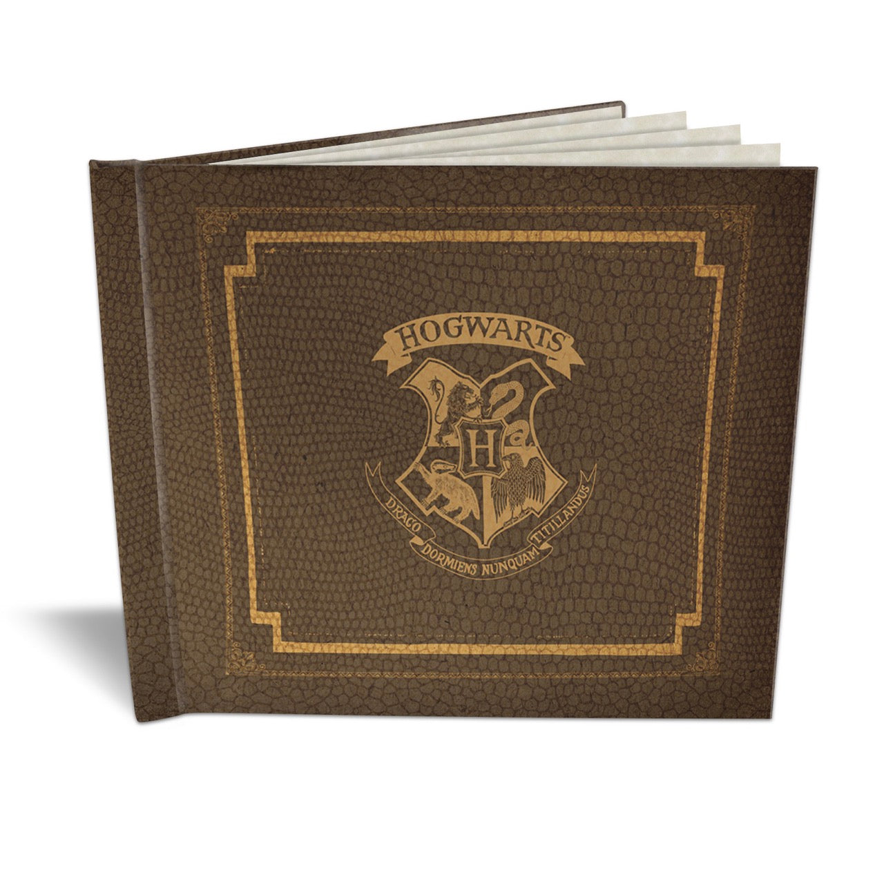 Harry Potter (Hogwarts House - Acceptance Personalized) Sketchbook SKETBOOK0096ACC