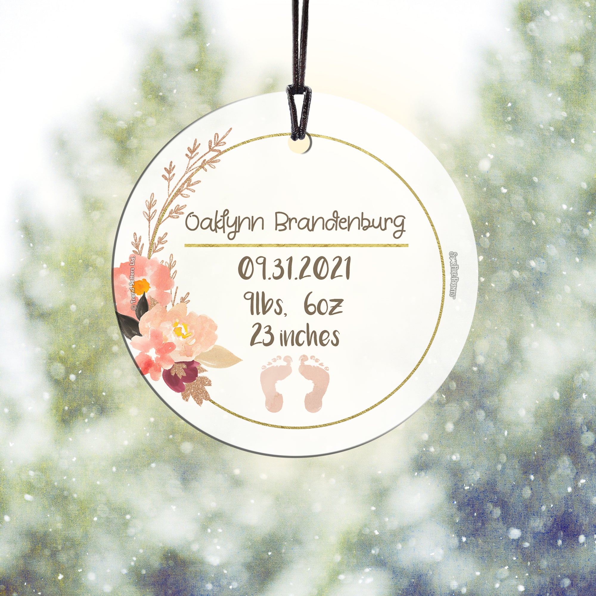 Baby Collection (Baby’s Information – Personalized) StarFire Prints Hanging Glass Print
