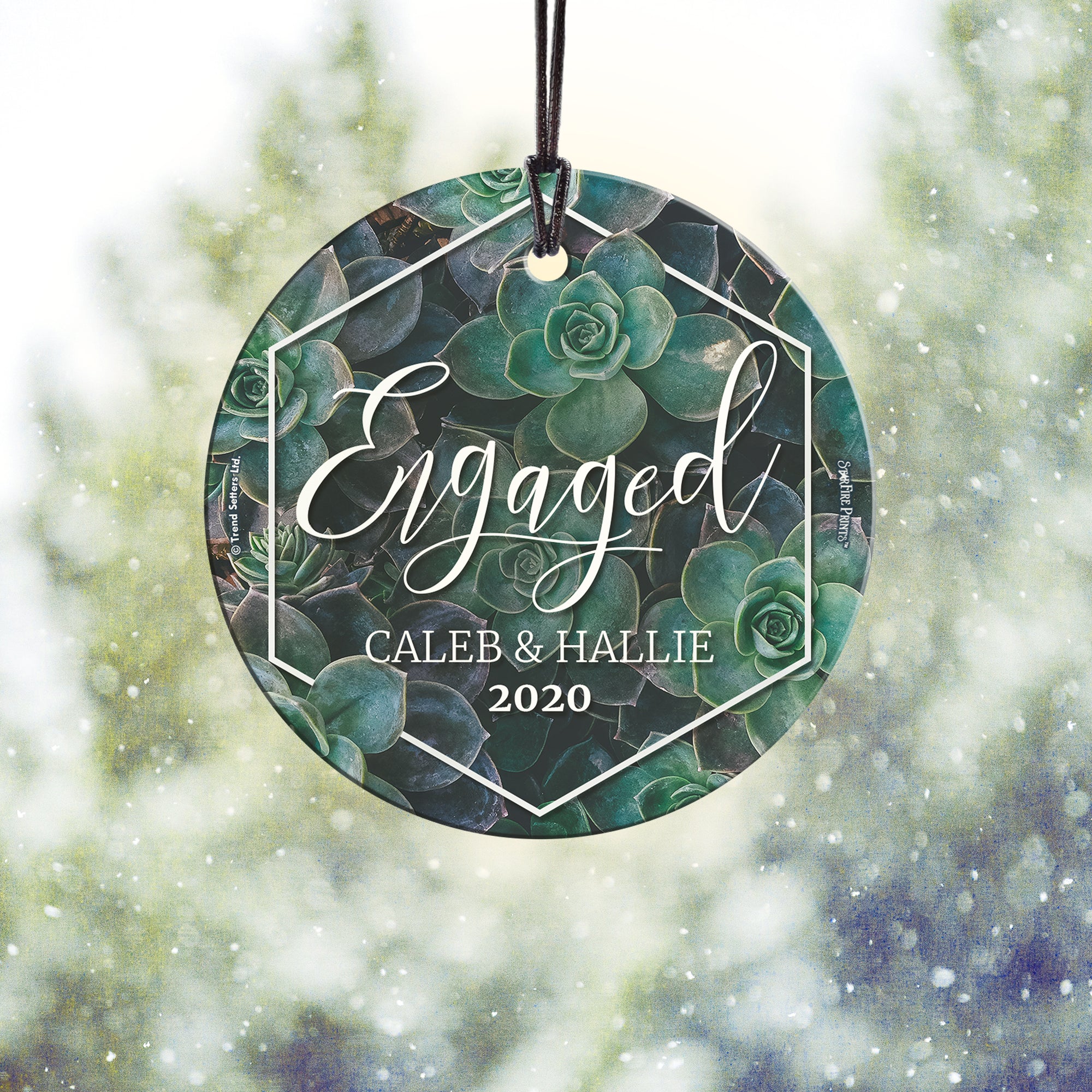 Engagement Collection (First Christmas Engaged Succulents - Personalized) StarFire Prints Hanging Glass Print SPCIR948