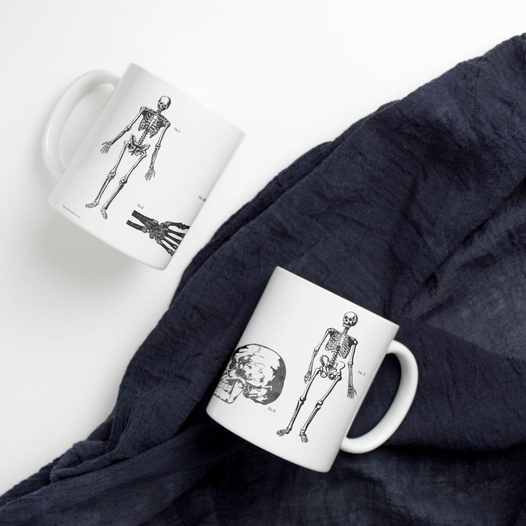 Trend Setters Original (Skeleton Anatomy) White Ceramic Mug