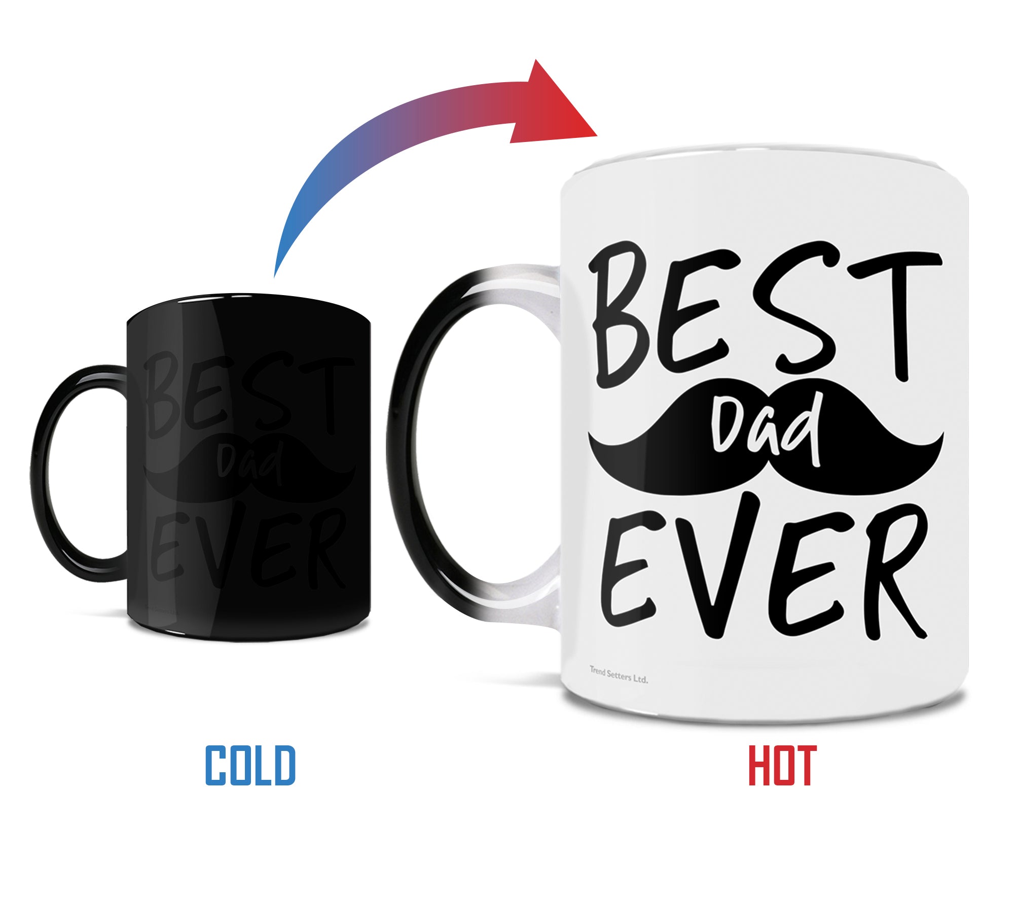 Parent Collection (Best Dad Ever) 11 oz Morphing Mugs® Heat-Sensitive Mug