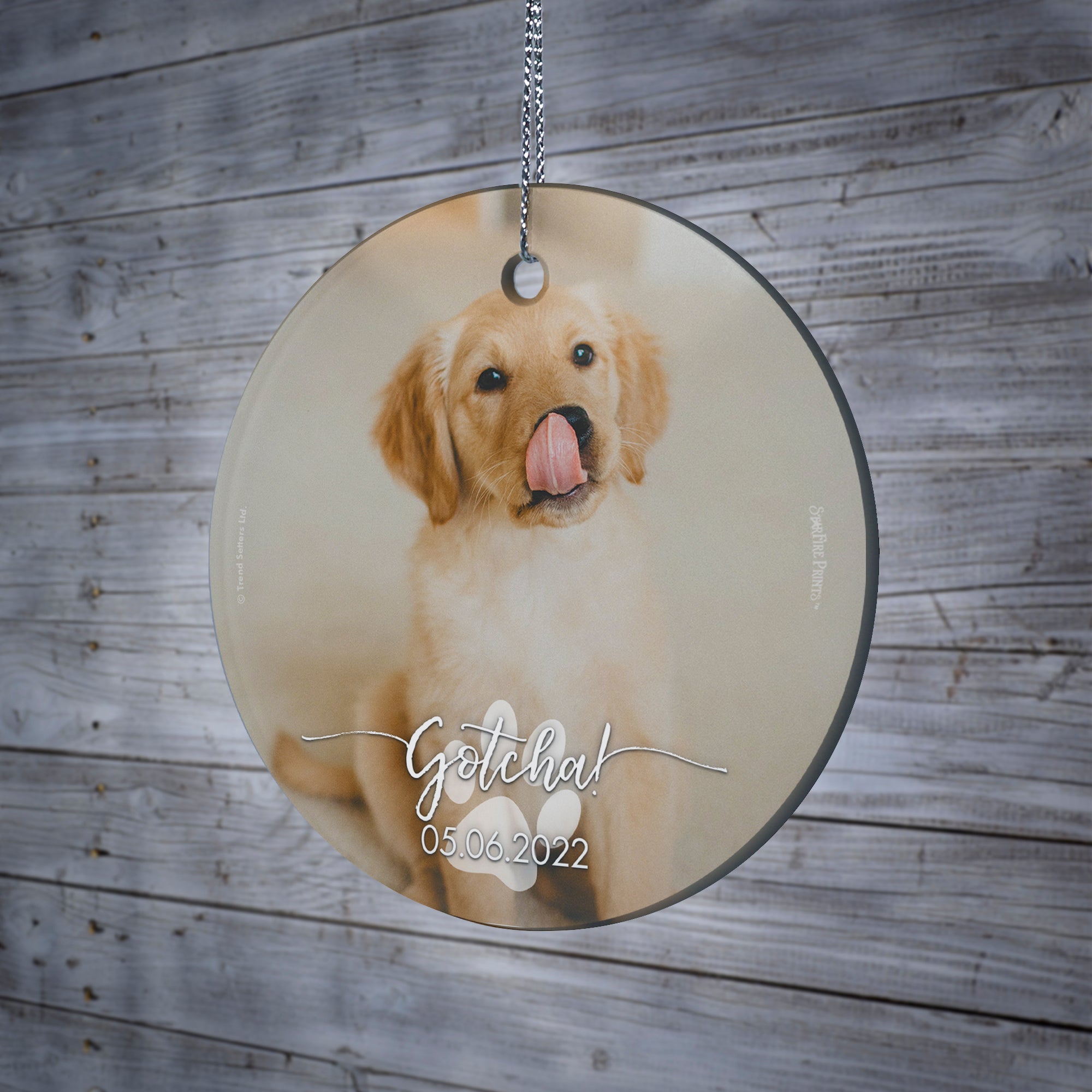 Pet Collection (Gotcha Dog - Personalize with Image) StarFire Prints Hanging Glass Print