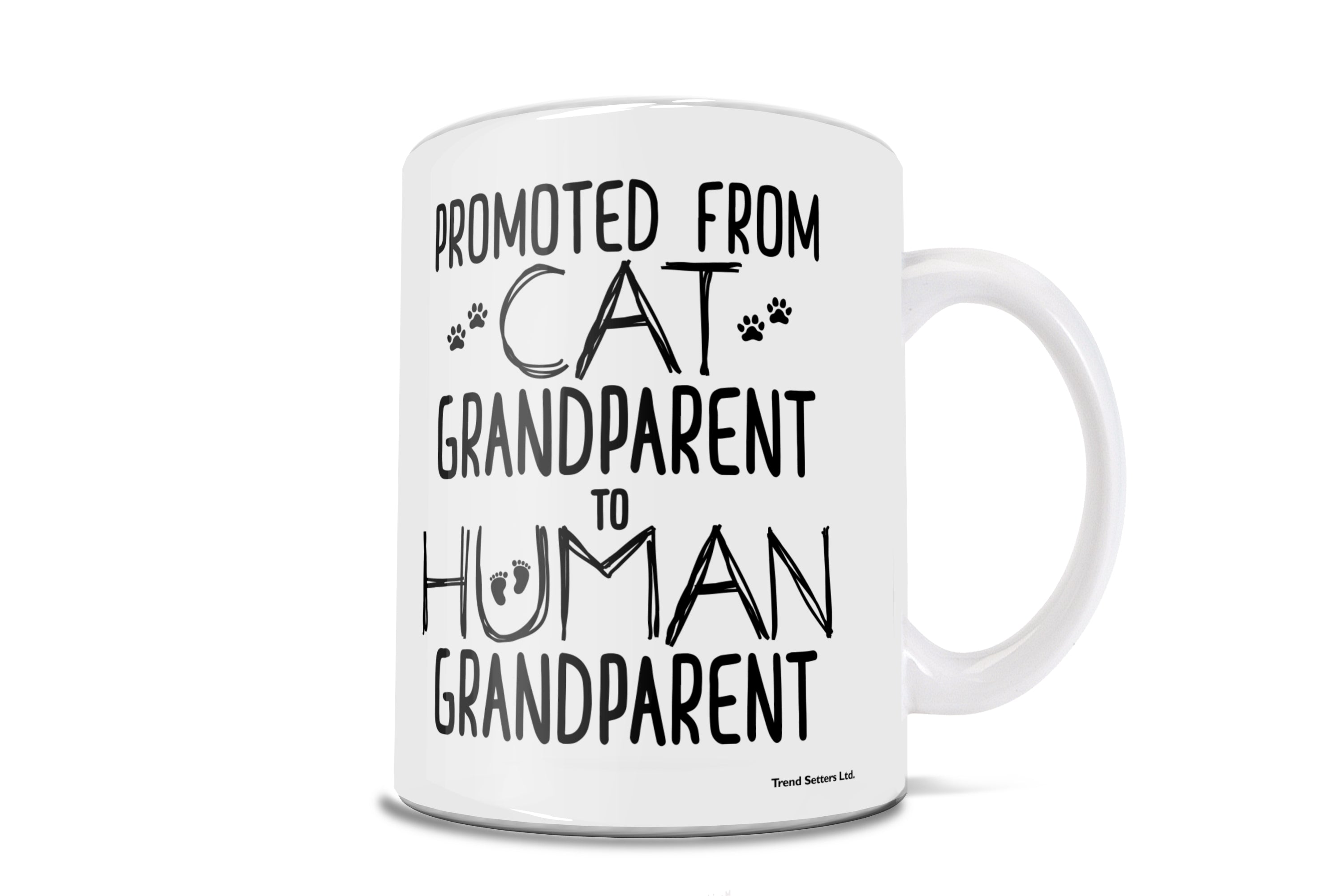 Family Collection (Cat Grandparent Promotion) 11 oz White Ceramic Mug